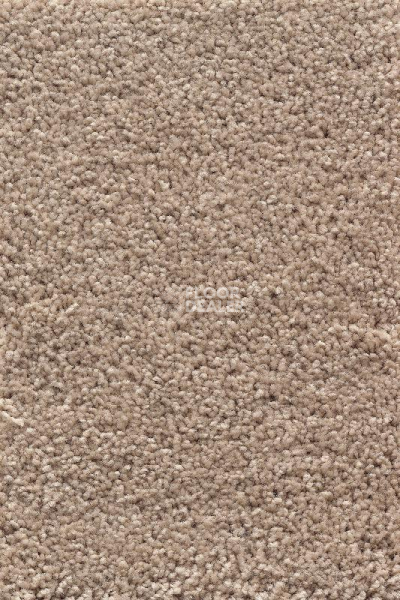 Ковролин AW Devotion 34 фото 1 | FLOORDEALER